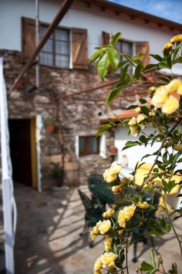 Apartamento Casa Adalcina  Mirandela Exterior foto
